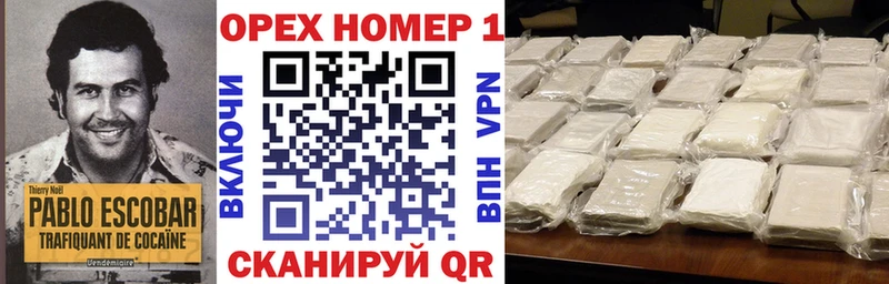купить наркотики цена  Шенкурск  Cocaine 97% 