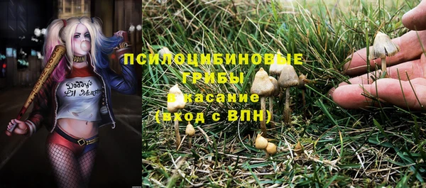 ALPHA-PVP Белокуриха